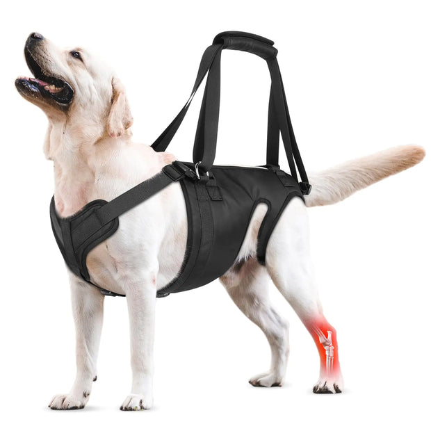 Dog Lift Harness Dog Sling for Large Medium Dogs Hind Leg Support Pee-Able. Ideal for Seniors Disabled Injured & Arthritic Dogs in ACL Recovery Secure Harness for Assisted Mobility