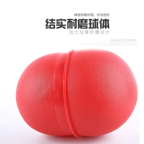 Jumping Ball for Kids and Adults - Fitness and Balance Toy