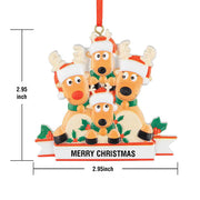 Custom Name Reindeer Family Xmas Ornament Personalized Christmas Decoration Gifts