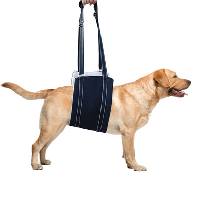 Dog Sling for Large Dogs Hind Leg SupportDog Sling for Medium DogsDog Lift HarnessDog Mobility AidsDog Support Harness for Back LegsDog Lifter for Large Elderly DogsACL Surgery Recovery (Large)